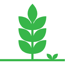 Platform-International Green Food Technologies Association